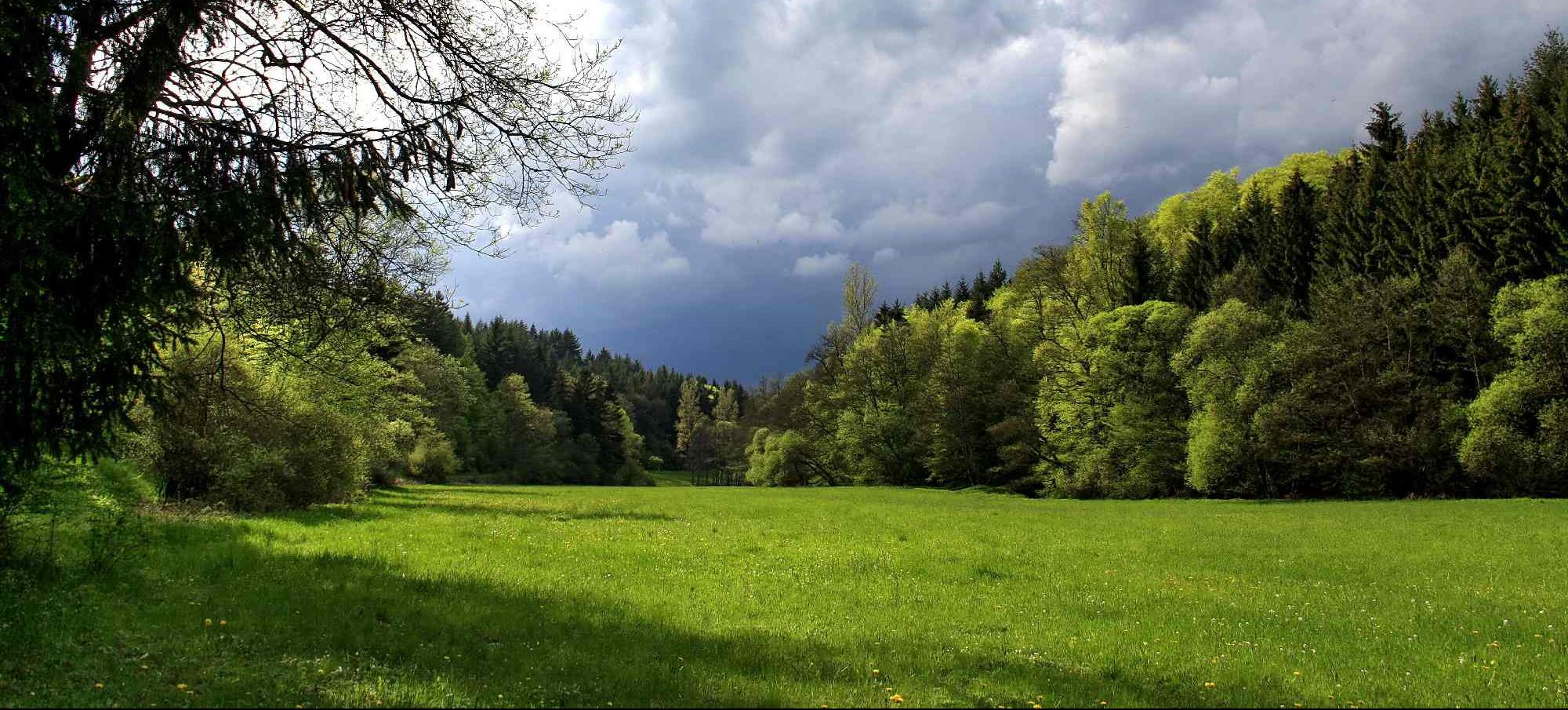 Jagdgenossenschaften und Eigenjagdbesitzer